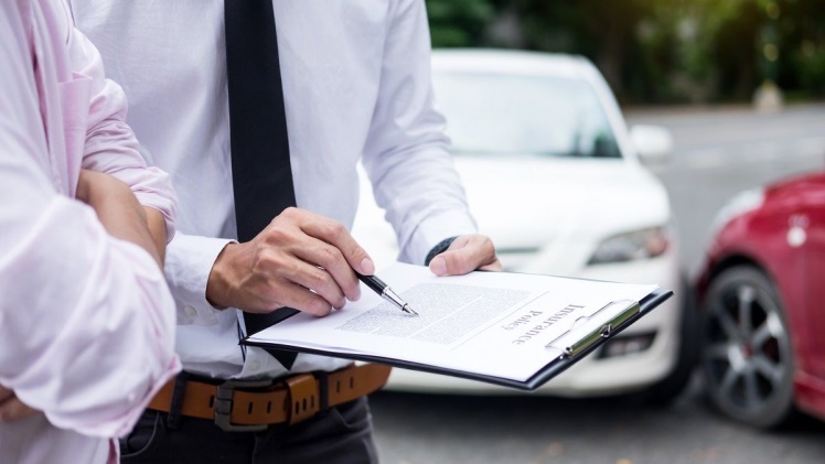 Bolly4u in bollywood movies: Which Category of Movies Can be Downloaded from Bolly4u?